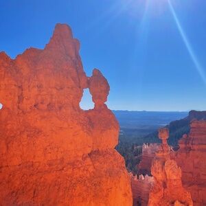 Meet your Posher, Em